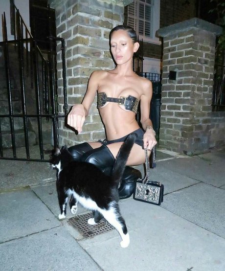 Manahou Mackay estrella porno hermosa galerías