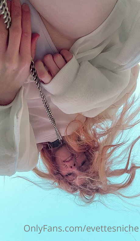 Evettes Niche haut de star du porno collection