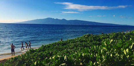 Sanjana estrella agradable recopilación