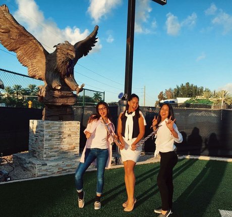 Antoenella estrella superior imágenes