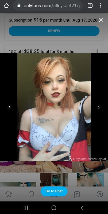 Alleykat421 modèle galeries