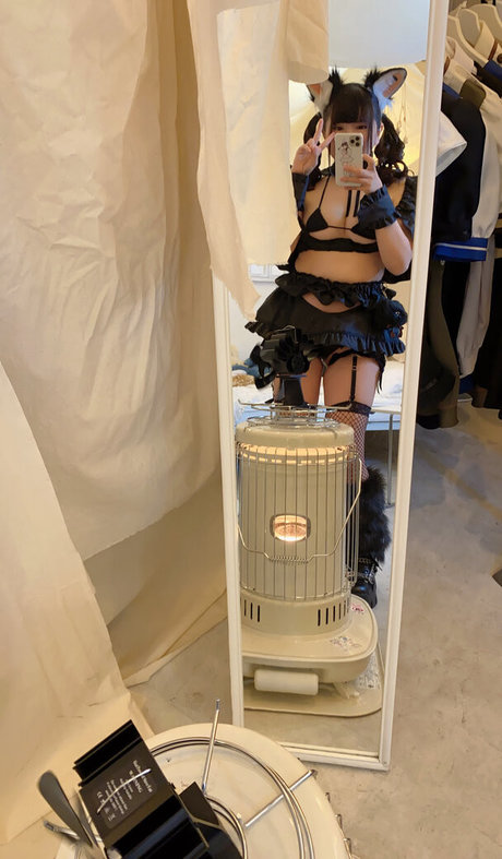 meru12sai modèle nu img