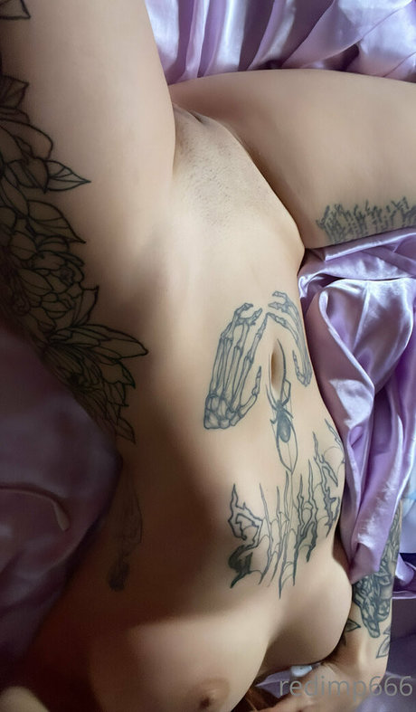 Redimp666 haut étoile galeries