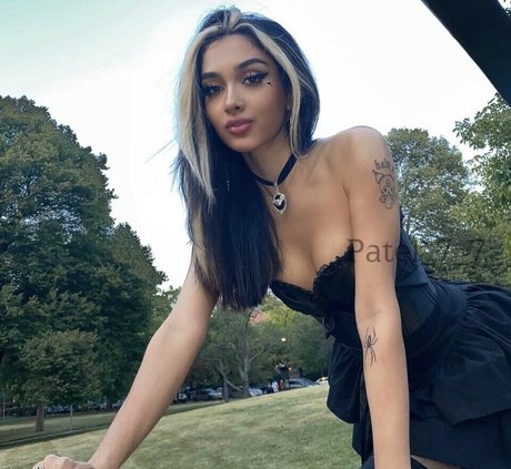 Vixenesha star du porno érotique image