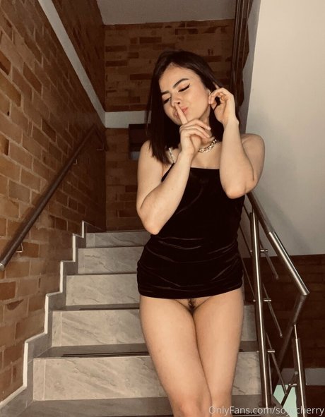 soyccherry meilleure star du porno archive