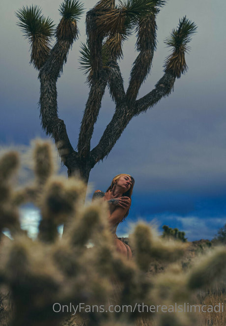 therealslimcadi modèle joli galerie