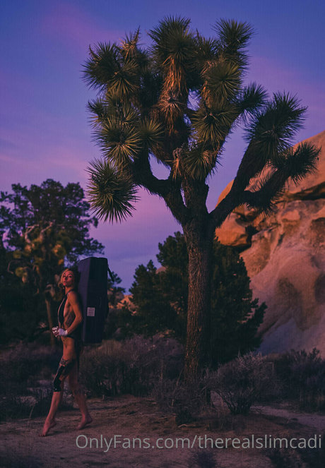 therealslimcadi desnudos de estrellas foto