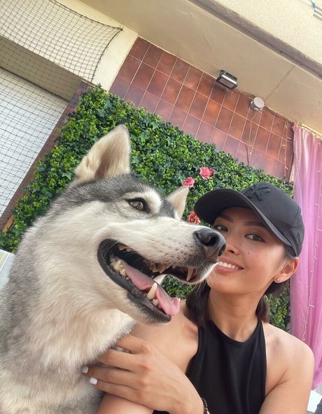 FancyV joli modèle galerie