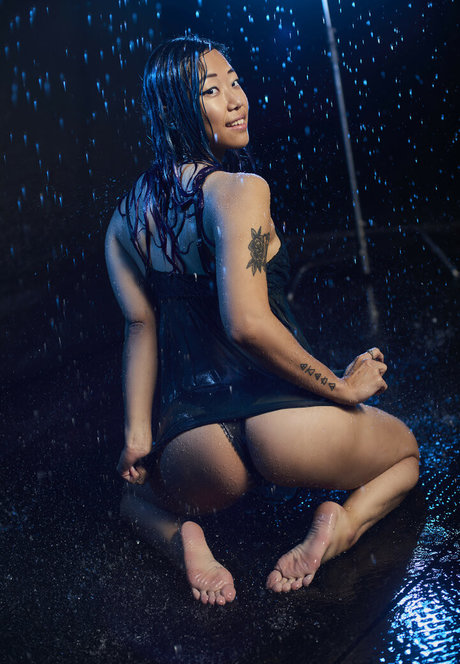 parallaxstella meilleure star du porno collection