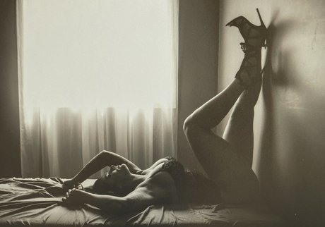 chroniclesofatiredassmom étoile parfaite des photos