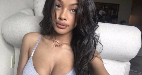 Vinetria estrella del arte foto