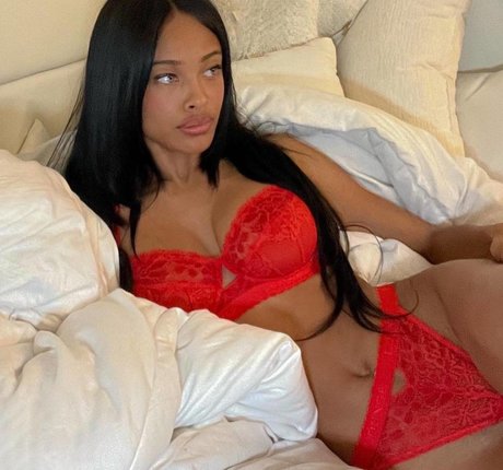 Vinetria star du porno collection