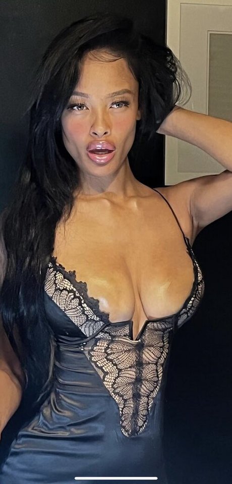 Vinetria modèle parfait images