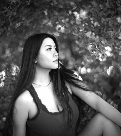 Windellia estrella hd recopilación