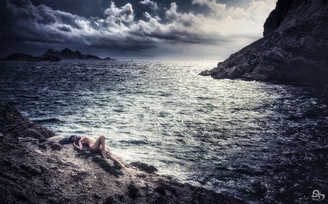 Joeykim haut étoile galerie