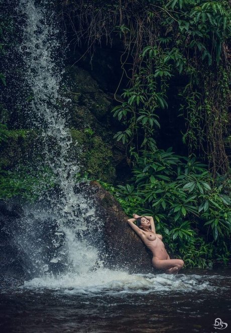 Joeykim star du porno exclusive collection