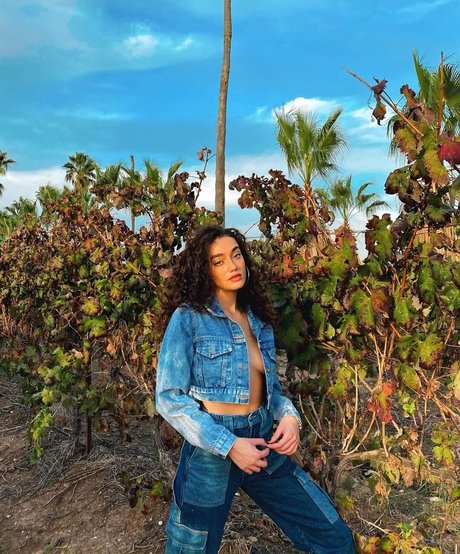 Liraz Nomdar desnudos estrella galería