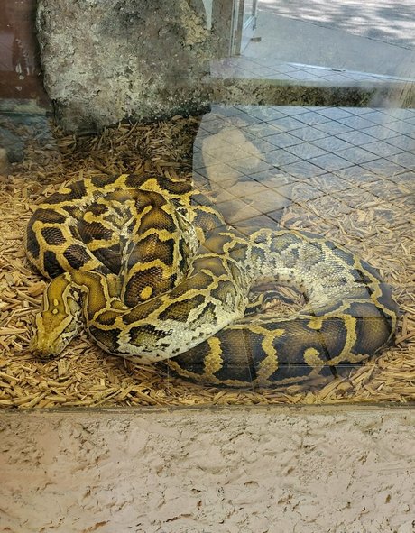 geekikitten star du porno chaude photo