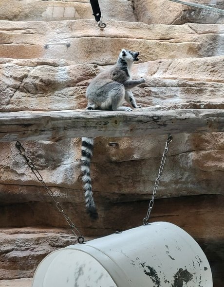 milf rousse onlyfans haut sexy des photos