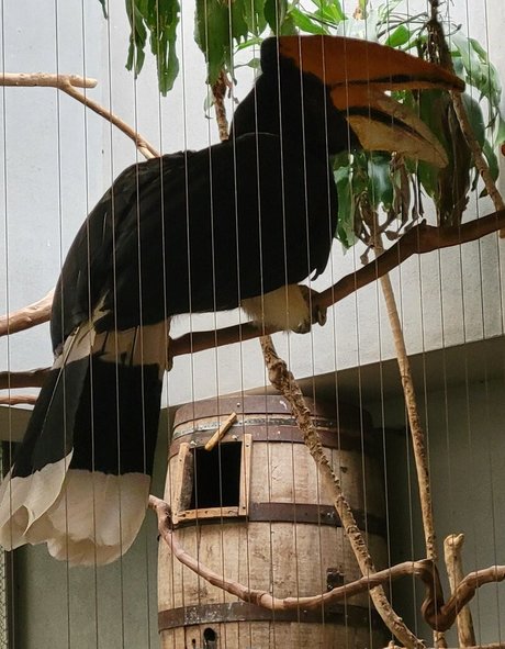 geekikitten modèle parfait img