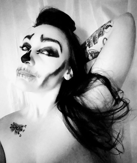 theradicalfox estrella libre galerías