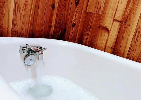 theradicalfox star du porno de haute qualité image