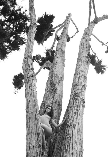 Kendall Jenner actrice artistique photo