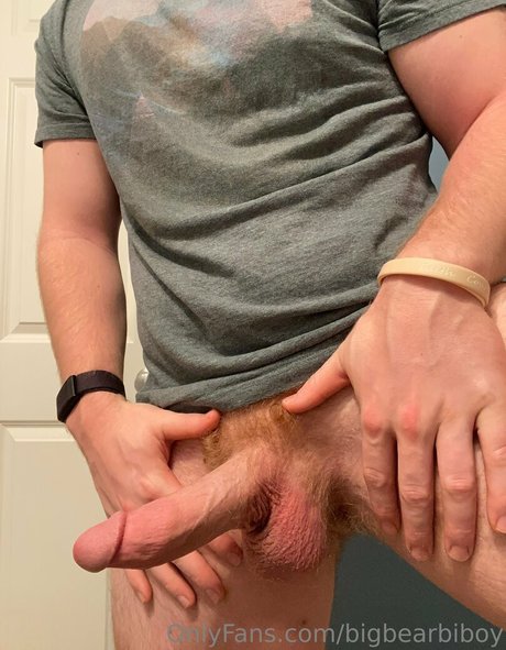 bigbearbiboy arte modelo galería