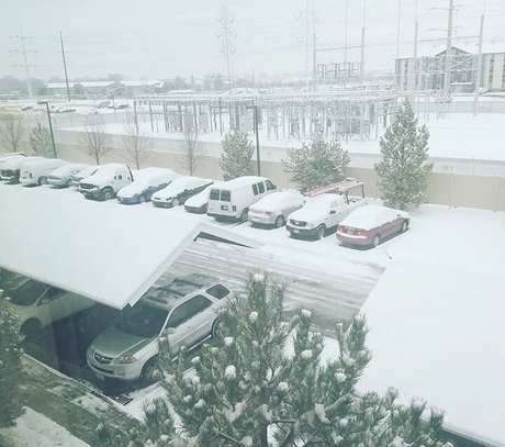 realbrandon818 actrice photos