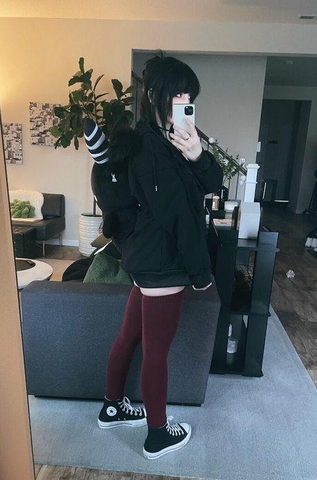 Hiso Neko top star photo