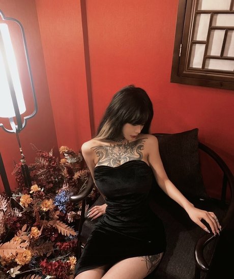 Deer white hermosa estrella galería