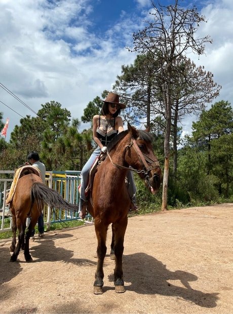 Deer white actrice artistique image