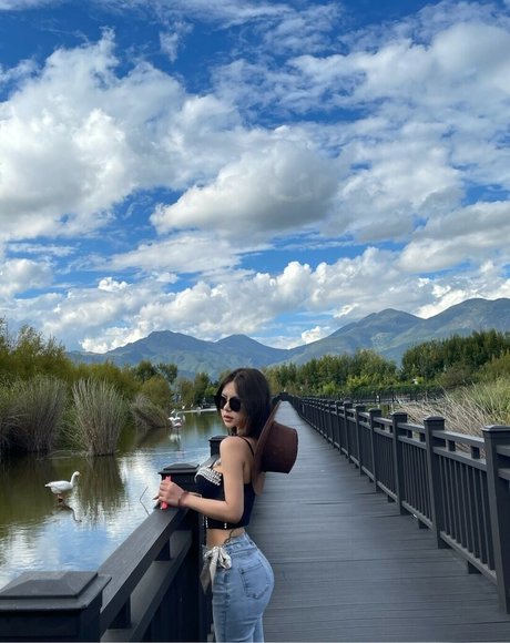 Deer white étoile parfaite galerie