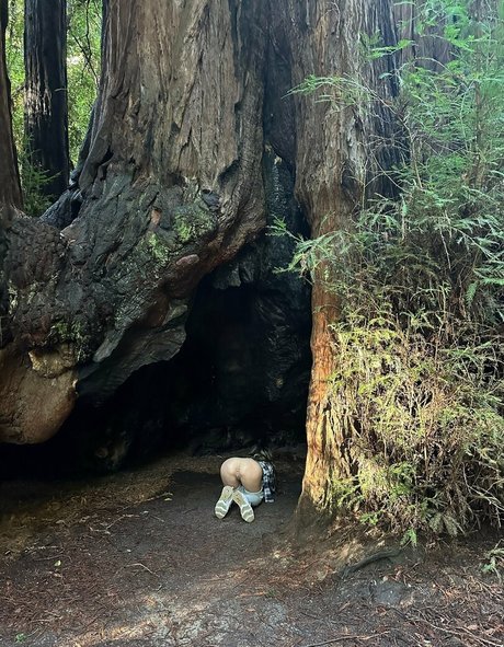 The Bite Sized Bitch desnudos de modelos imagen