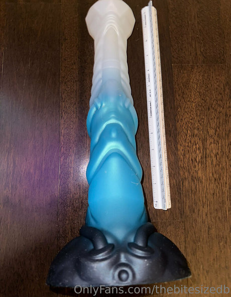 The Bite Sized Bitch sexe star collection