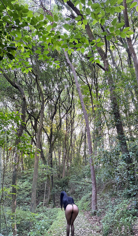 Solo fanáticos de MMA mejor sexy imágenes