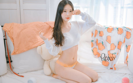 Pureding modelo de arte recopilación