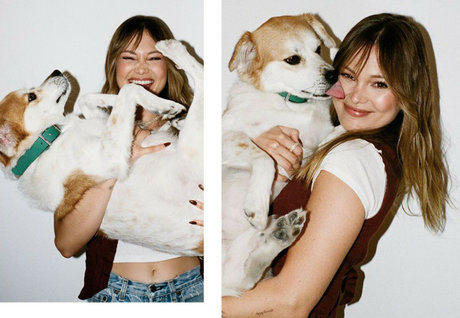 Olivia Holt estrella archivo