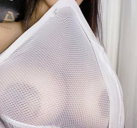 Carniello haut étoile archive