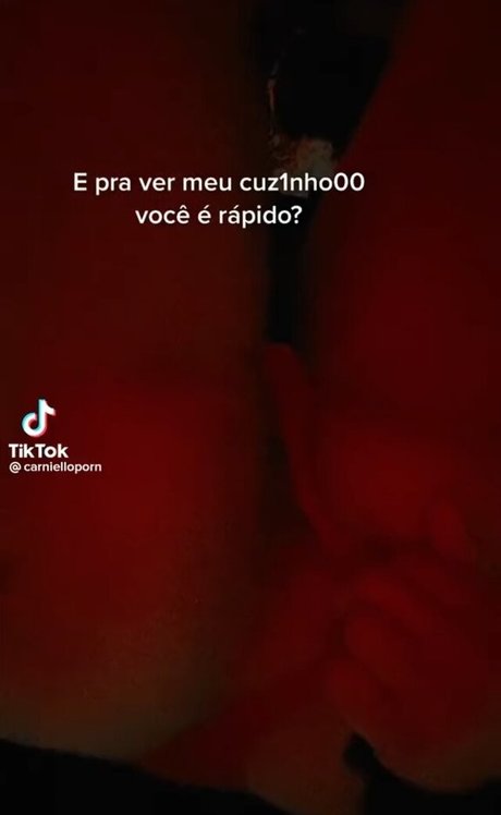 Carniello mejor modelo imagen