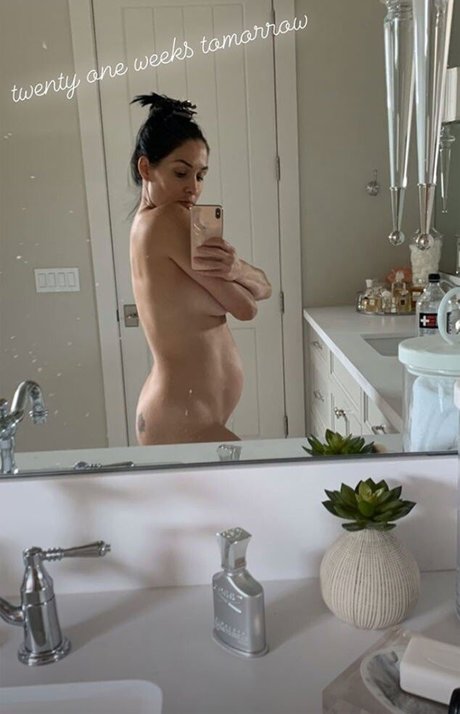 The Bella Twins_ art étoile images