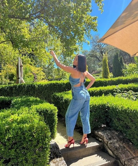 The Bella Twins_ star du porno adulte img