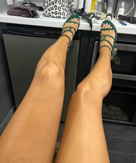 The Bella Twins_ estrella hd galerías