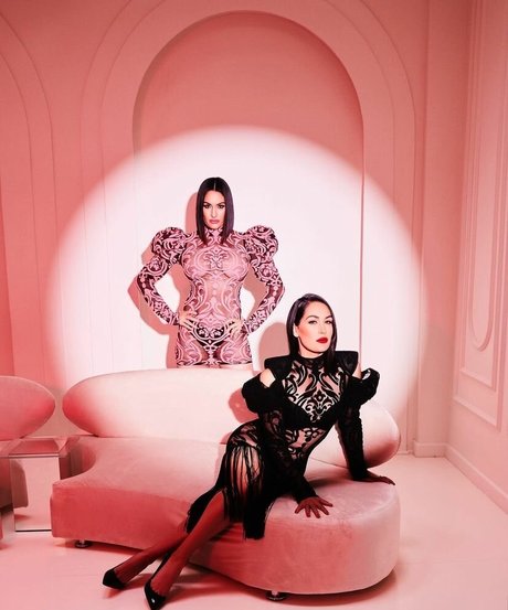 The Bella Twins_ estrella porno agradable recopilación