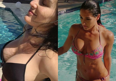 The Bella Twins_ étoile adulte des photos