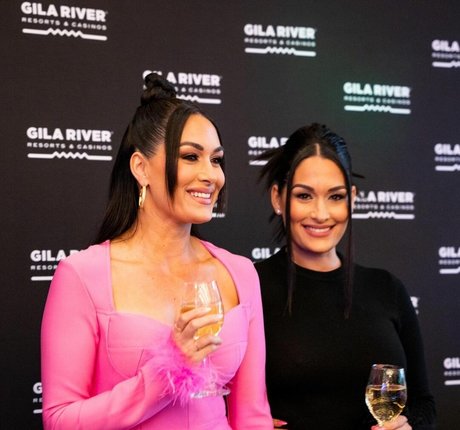 The Bella Twins_ estrella porno mejor galería