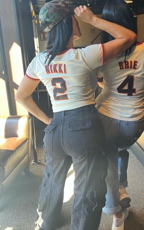 The Bella Twins_ star érotique image