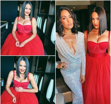 The Bella Twins_ star du porno exclusive galeries