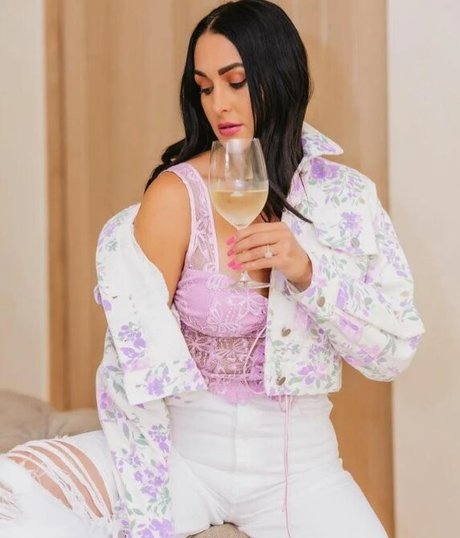 The Bella Twins_ nus de stars du porno galerie