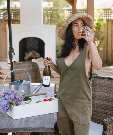 The Bella Twins_ actriz erótica imagen